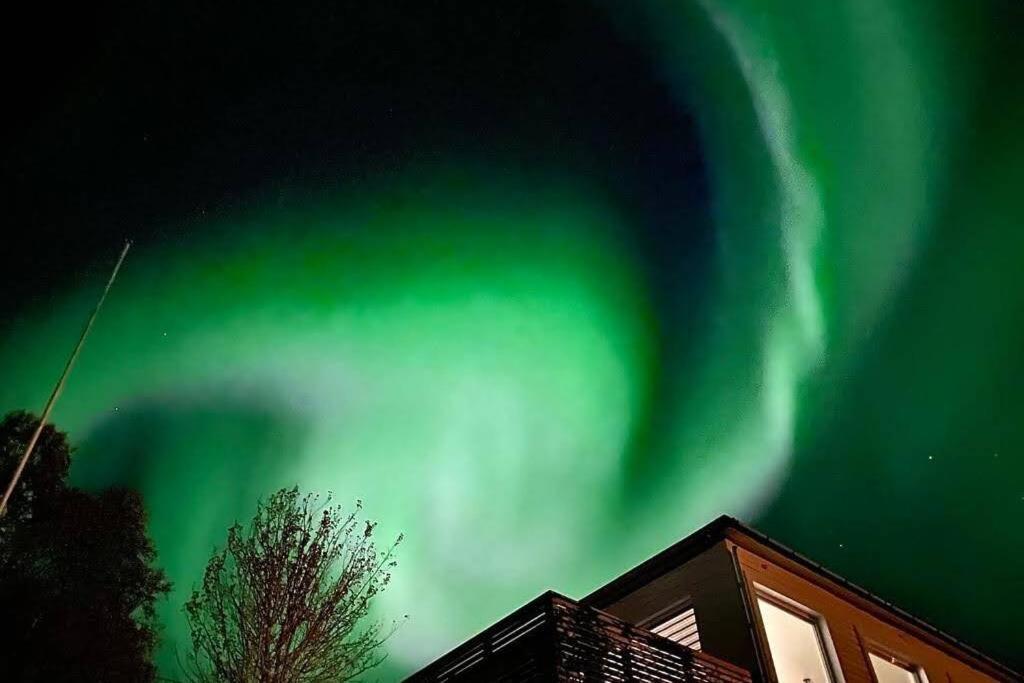 Apartamento Waterfront Senja 3 Torsken Exterior foto